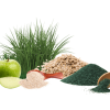 multifiber
