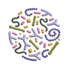 prebiotik